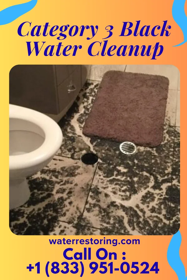 Category 3 Black Water Cleanup in Butters, NC