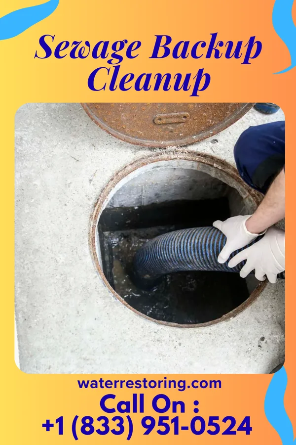 Sewage Backup Cleanup in Butters, NC